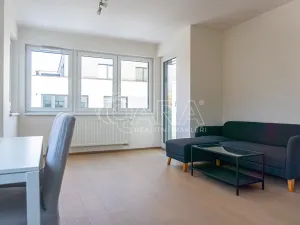 Pronájem bytu 2+kk, Praha - Žižkov, Rixdorfská, 51 m2