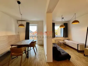 Pronájem bytu 1+kk, Mikulov, Purkyňova, 44 m2