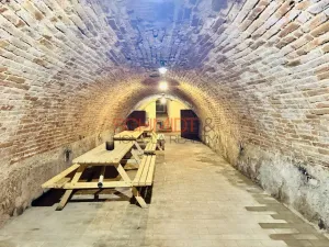 Pronájem bytu 1+kk, Mikulov, Purkyňova, 44 m2