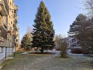 Pronájem bytu 2+1, Ústí nad Labem - Bukov, Dukelských hrdinů, 52 m2