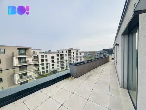Pronájem bytu 4+kk, Ostrava, F. X. Riepla, 203 m2