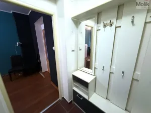 Pronájem bytu 2+kk, Teplice - Trnovany, Thámova, 34 m2