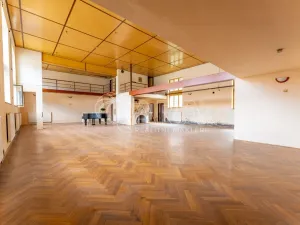 Pronájem obchodního prostoru, Štěpánovice, 440 m2