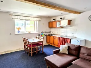 Prodej rodinného domu, Leskovec nad Moravicí, 200 m2