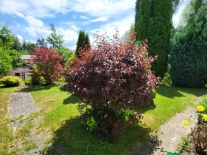 Prodej rodinného domu, Nepomuk, U Rybníka, 55 m2