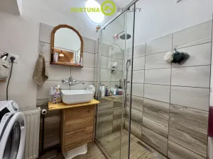 Prodej rodinného domu, Budišov nad Budišovkou, Horská, 273 m2