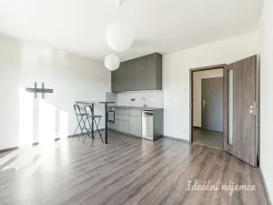 Pronájem bytu 1+kk, Přezletice, Pod Zahrady, 36 m2