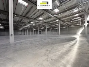 Pronájem výrobních prostor, Údlice, Droužkovická, 15000 m2