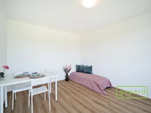 Pronájem bytu 1+kk, Praha, Hartigova, 28 m2