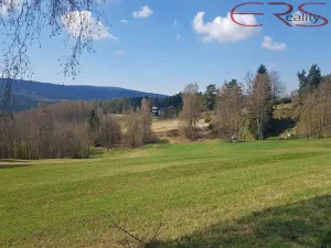 Prodej bytu 3+1, Tanvald, Radniční, 70 m2