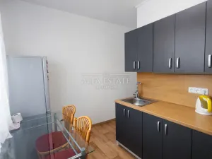 Pronájem bytu 1+1, Ostrov, Májová, 36 m2
