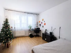 Pronájem bytu 1+1, Ostrov, Májová, 36 m2