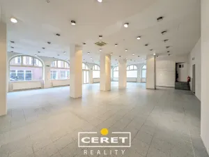 Pronájem obchodního prostoru, Žatec, Oblouková, 288 m2