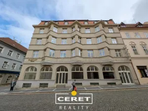 Pronájem obchodního prostoru, Žatec, Oblouková, 288 m2