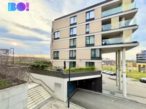 Pronájem bytu 2+kk, Ostrava, F. X. Riepla, 65 m2