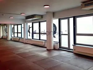 Pronájem obchodního prostoru, Praha, Chrudimská, 360 m2