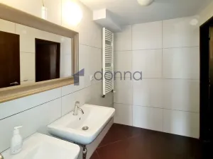 Pronájem obchodního prostoru, Praha, Chrudimská, 360 m2