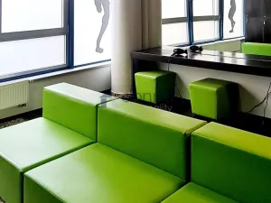 Pronájem obchodního prostoru, Praha, Chrudimská, 360 m2