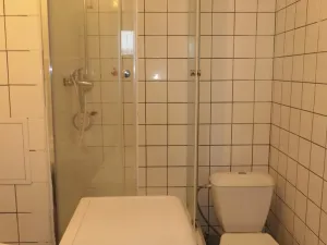 Pronájem bytu 1+kk, Hradec Králové - Nový Hradec Králové, Brožíkova, 22 m2