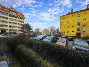 Pronájem bytu 1+1, Praha - Žižkov, Hartigova, 25 m2