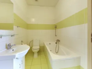 Pronájem bytu 1+1, Plzeň - Jižní Předměstí, V Šipce, 54 m2