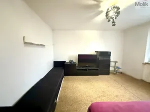 Pronájem bytu 1+1, Litvínov - Chudeřín, Horská, 27 m2