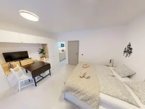 Prodej bytu 1+kk, Janov nad Nisou, 31 m2