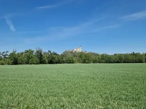 Prodej pozemku pro bydlení, Ráby, 1168 m2