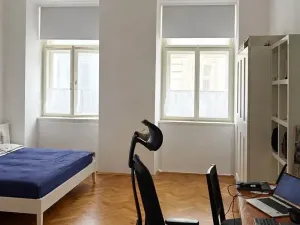 Pronájem bytu 2+kk, Praha - Nové Město, Krakovská, 50 m2