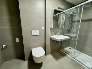 Pronájem bytu 1+kk, Brno, Bystrcká, 28 m2