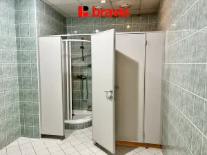 Pronájem kanceláře, Brno - Slatina, Hviezdoslavova, 257 m2