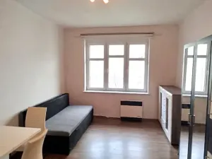Pronájem bytu 1+kk, Praha - Žižkov, Žerotínova, 24 m2