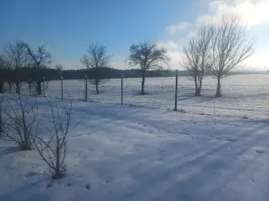 Prodej rodinného domu, Horní Radslavice, 752 m2