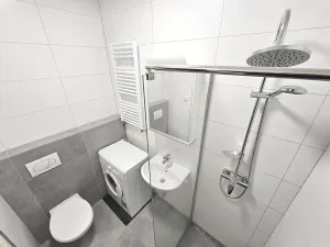 Pronájem bytu 1+kk, Praha - Vinohrady, Řipská, 28 m2