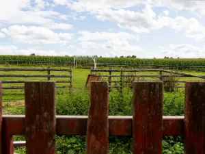 Prodej chaty, Litíč, 60 m2