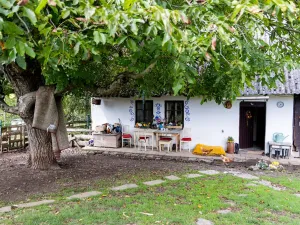 Prodej rodinného domu, Litíč, 60 m2