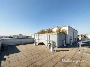 Pronájem bytu 1+kk, Praha - Hostivař, Hornoměcholupská, 21 m2