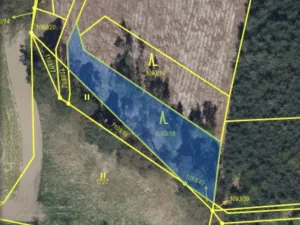 Prodej lesa, Veliny, 882 m2