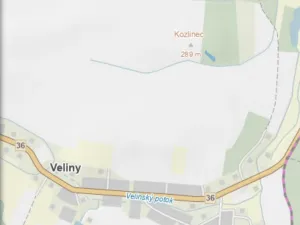 Prodej lesa, Veliny, 882 m2