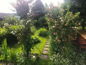 Prodej rodinného domu, Dětřichov nad Bystřicí, 140 m2