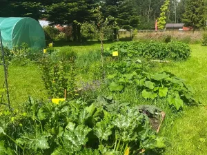 Prodej rodinného domu, Dětřichov nad Bystřicí, 140 m2