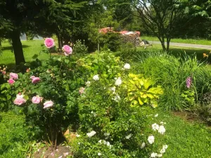 Prodej rodinného domu, Dětřichov nad Bystřicí, 140 m2