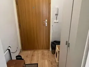 Pronájem bytu 2+kk, Praha - Vinohrady, Rejskova, 50 m2