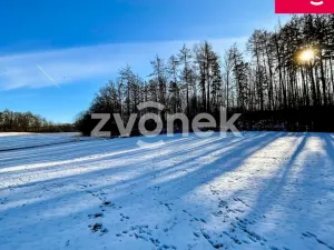 Prodej pozemku pro bydlení, Vizovice, Nad Stadionem, 1569 m2