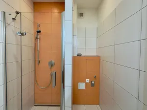 Pronájem bytu 2+1, Brno - Veveří, Antonínská, 72 m2