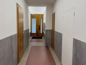 Pronájem bytu 2+1, Brno - Veveří, Antonínská, 72 m2