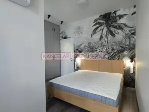 Pronájem bytu 2+kk, Praha - Žižkov, Blahníkova, 51 m2