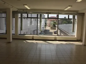 Pronájem obchodního prostoru, Prostějov, Wolkerova, 390 m2