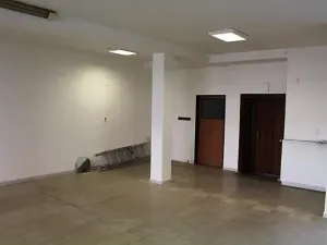 Pronájem obchodního prostoru, Prostějov, Wolkerova, 194 m2