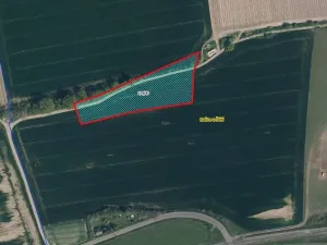 Prodej pozemku, Račice, 8045 m2